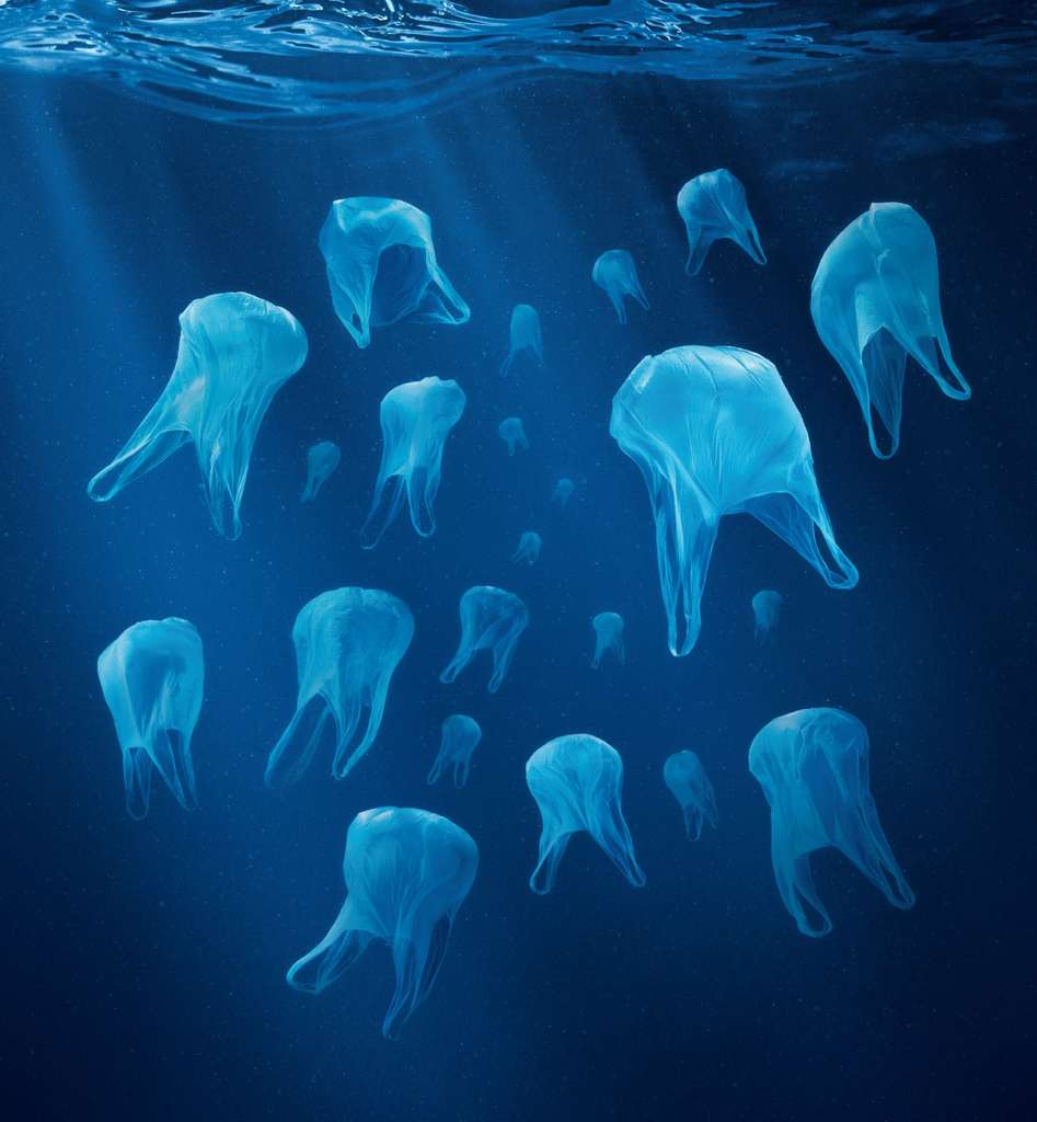 Des déchets plastique de Méditerranée recyclés en vêtements