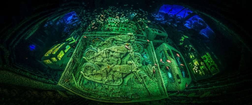 Les plus belles photos sous-marines de 2018
