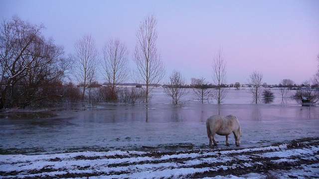 Pour éviter les inondations, il faut donner de l'espace aux fleuves