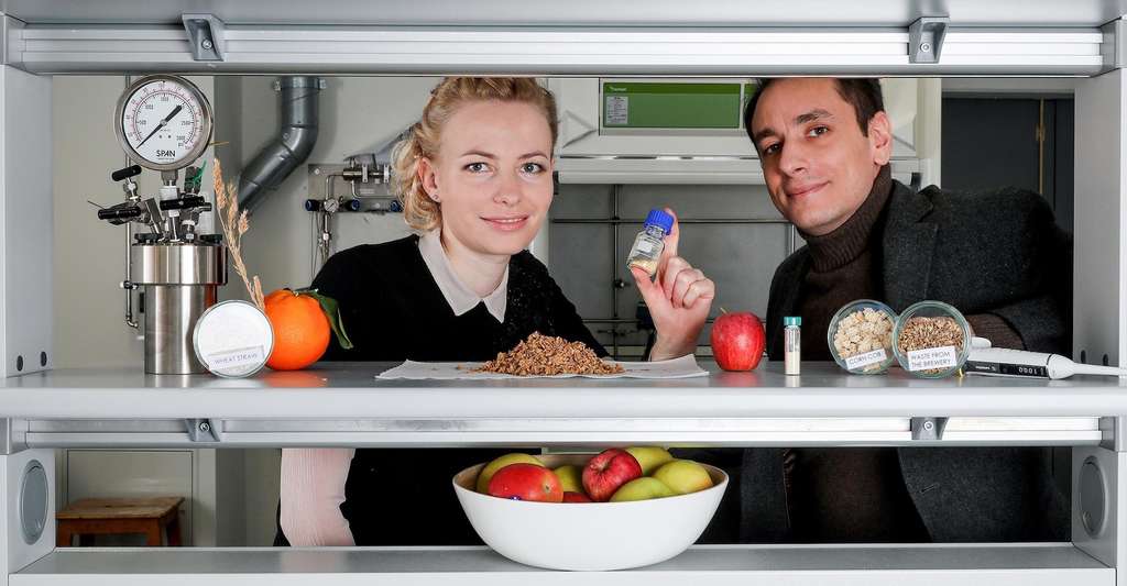 Des aliments moins sucrés grâce à l’orge