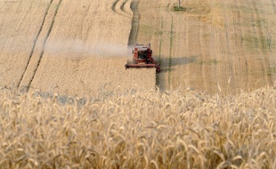 VIDEO. Jour du dépassement: La France vivra écologiquement à crédit à partir de ce samedi - 20minutes.fr