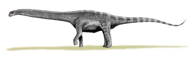 Le plus ancien dinosaure géant jamais découvert est argentin