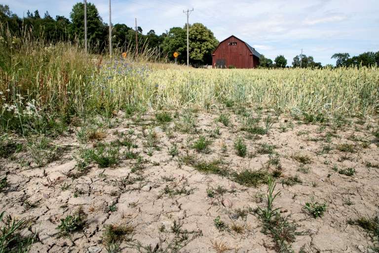 Climat : sécheresse exceptionnelle dans le nord de l’Europe et des incendies jusqu'en Arctique