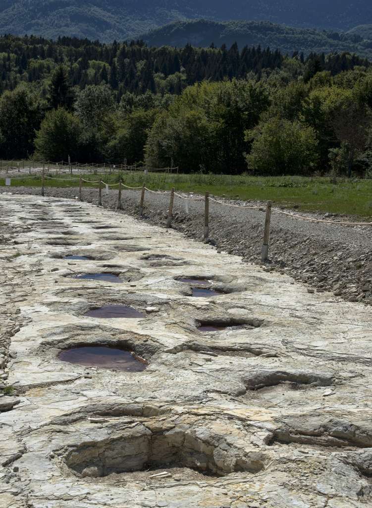 Dinosaures : 7 sites remarquables en France