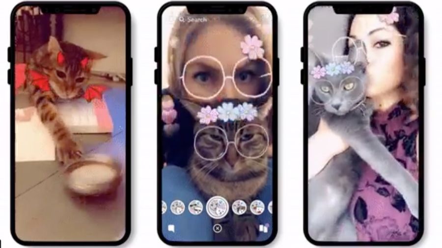 Snapchat fait des filtres pour… chats
