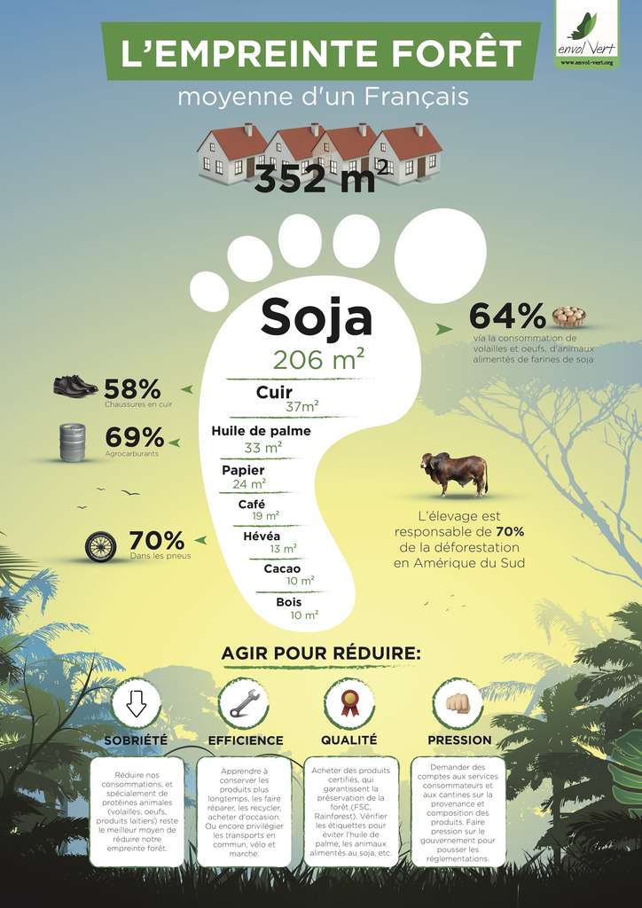 Déforestation : chaque Français détruit l’équivalent de 352m² de forêts