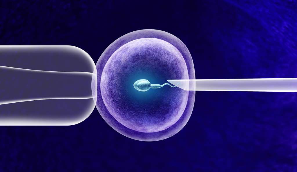 Les spermatozoïdes plus âgés pourraient engendrer une progéniture en meilleure santé