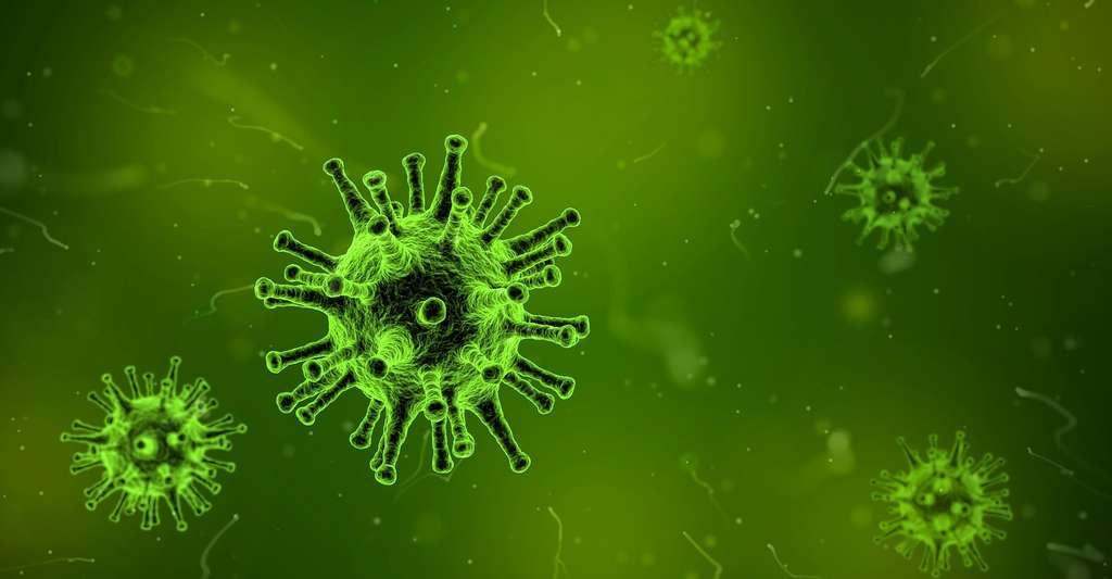 Grippe : des cellules tueuses pour un vaccin universel