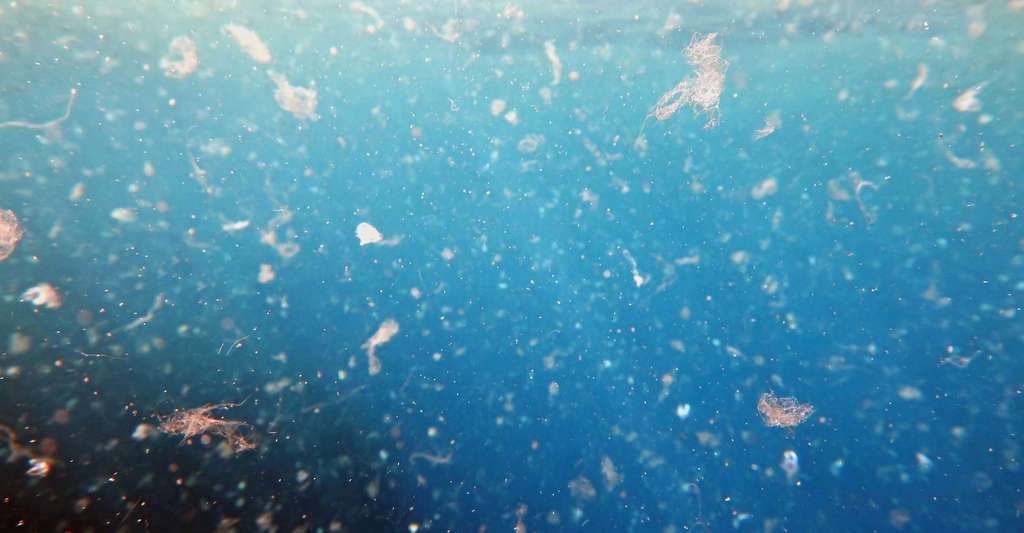 Des microplastiques retrouvés jusque dans les sources souterraines d’eau potable