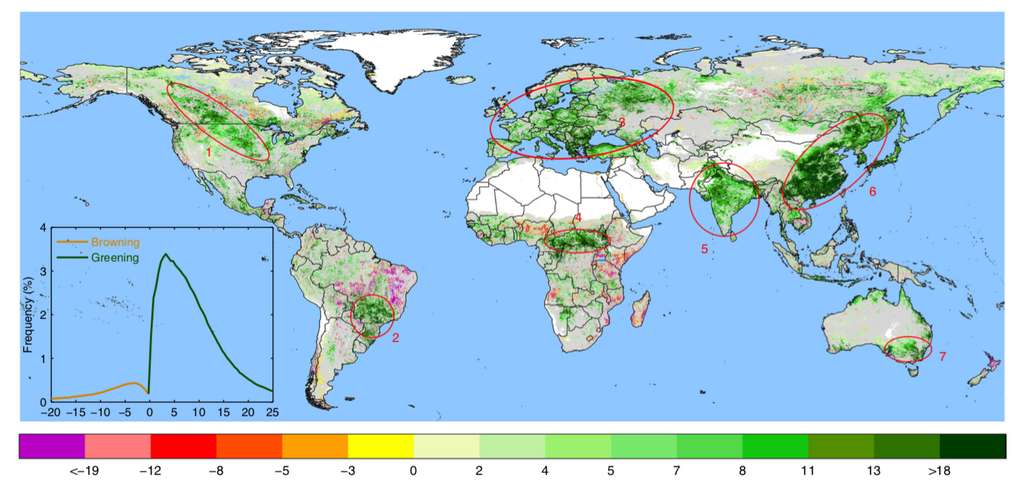 La Terre devient plus verte : bonne ou mauvaise nouvelle ?