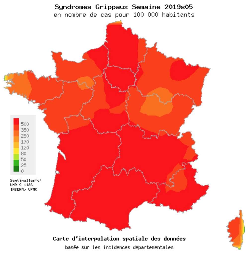 Carte dâ??interpolation spatiale des taux dâ??incidence dÃ©partementaux des syndromes grippaux (pour 100.000 habitants), semaine 05 de 2019. Cartes consultables sur www.sentiweb.fr. Â© Inserm