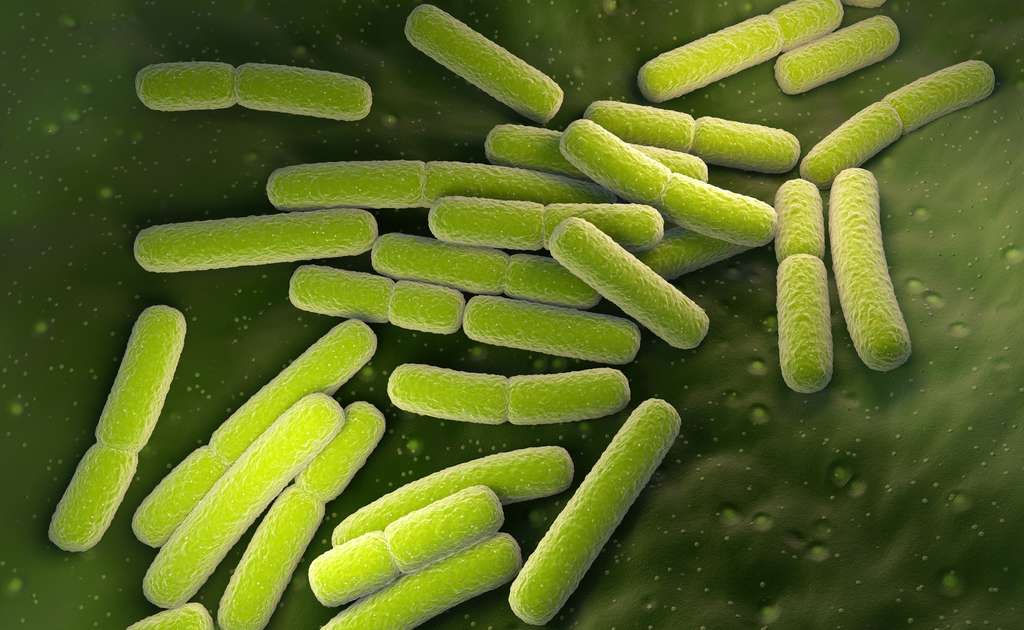 La résistance aux antibiotiques favorisée par un antibactérien très répandu