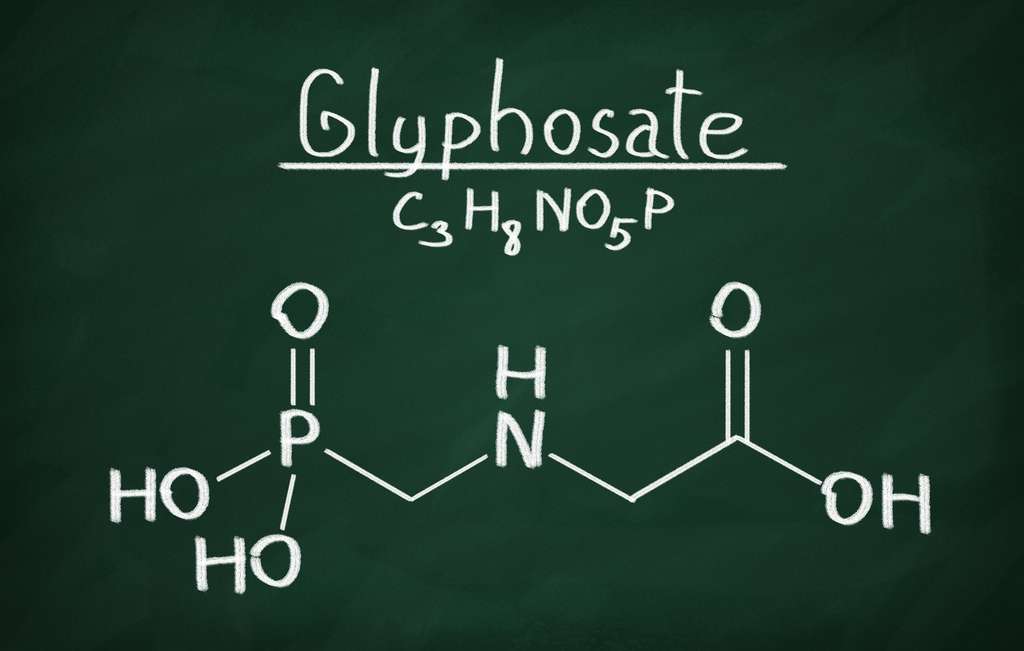Roundup : l'exposition au glyphosate augmenterait de 40 % le risque de certains cancers