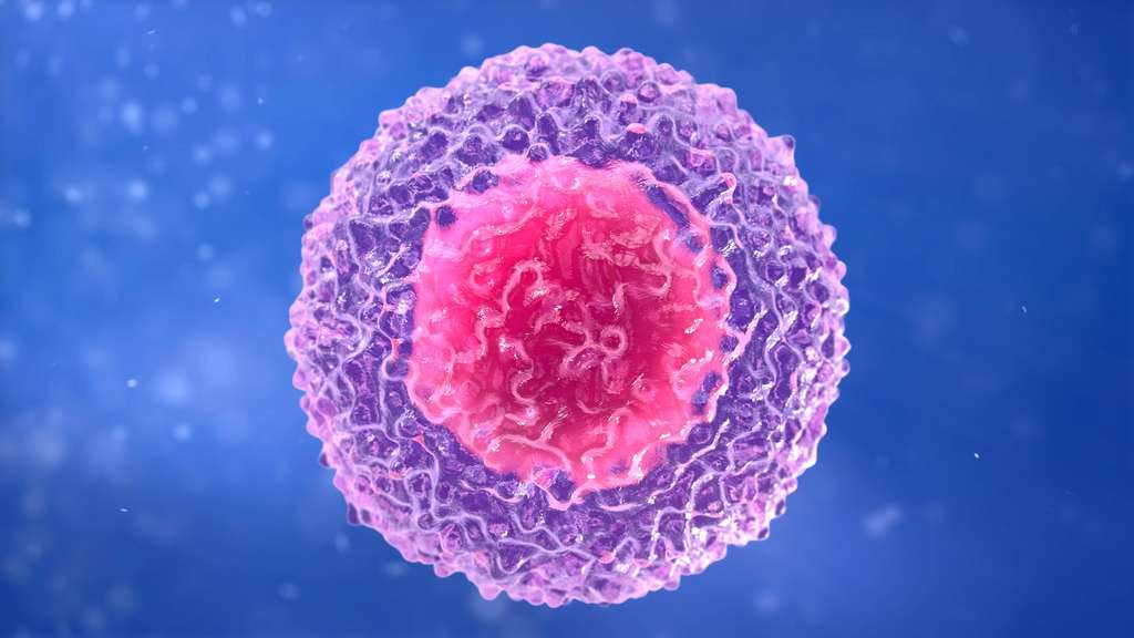La narcolepsie serait bien une maladie auto-immune