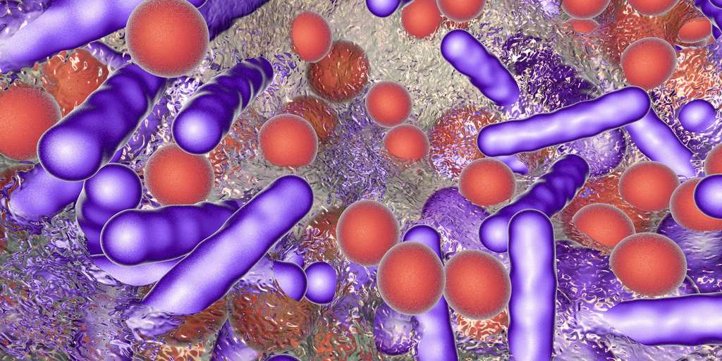 E171 : cet additif alimentaire modifie la flore intestinale