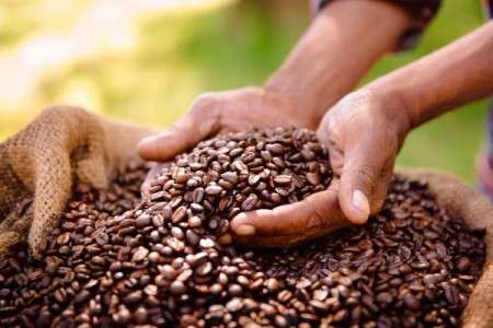 Un enfant atteint d’une rare maladie orpheline soigné avec du café