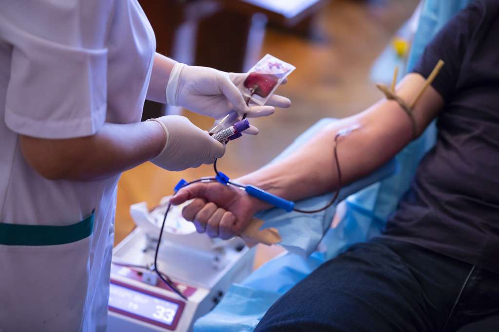 Don du sang : une nouvelle méthode pour créer un sang universel