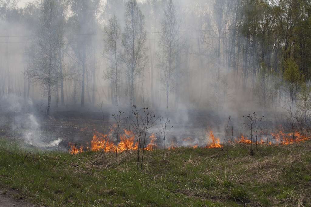 La pollution des Romains à l'origine d'un changement climatique