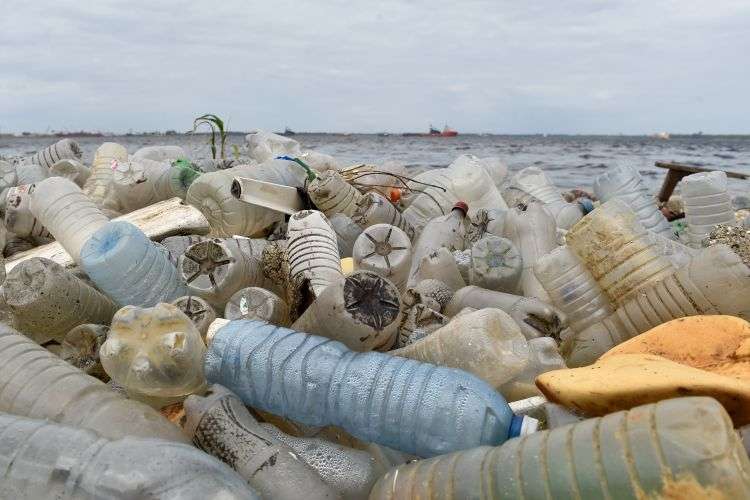 Pollution : nous mangeons et respirons du plastique