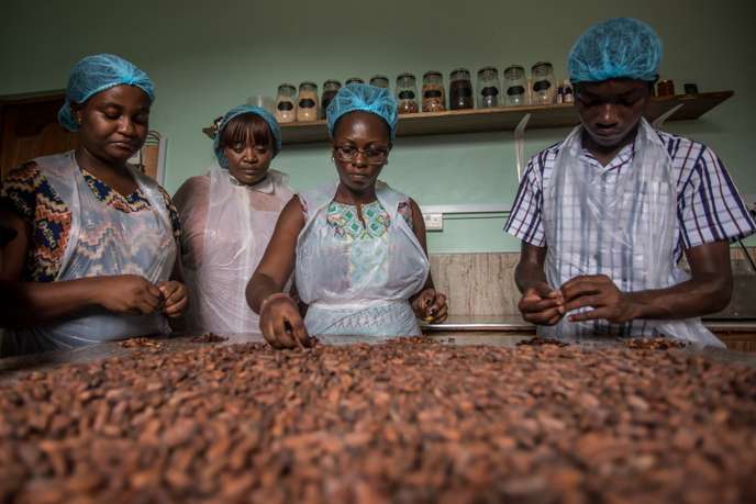 Cacao : le pari risqué de la Côte d’Ivoire et du Ghana pour imposer un prix plancher