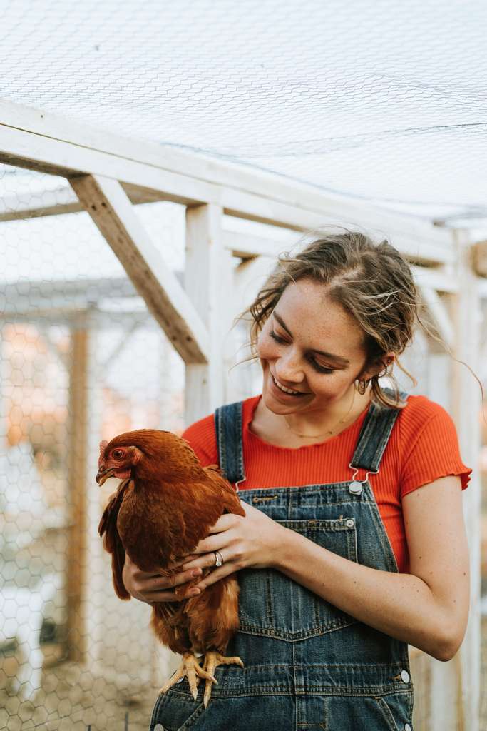 Pour une meilleure santé et celle de la Planète, mangeons moins de viande, recommande le Giec