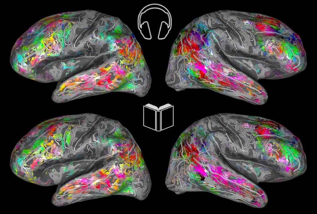 Les cartes cérébrales codées par couleur montrent les similitudes sémantiques lors de l