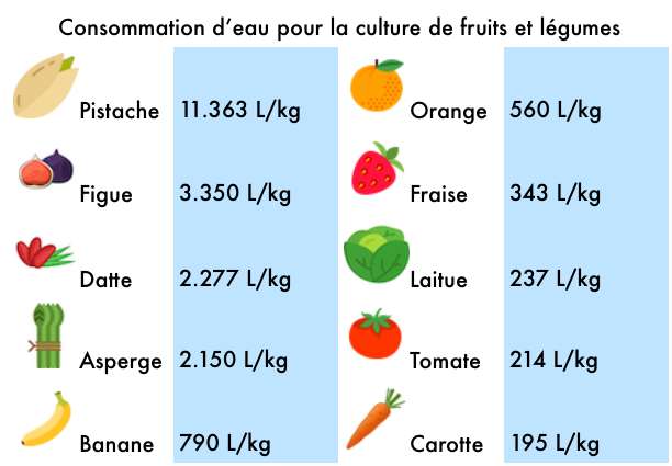Consommation en eau de quelques fruits et légumes cultivés. Source : M. M. Mekonnen and A. Y. Hoekstra, Hydrol. Earth Syst. Sci., 2011. © Flaticon, Céline Deluzarche, Futura