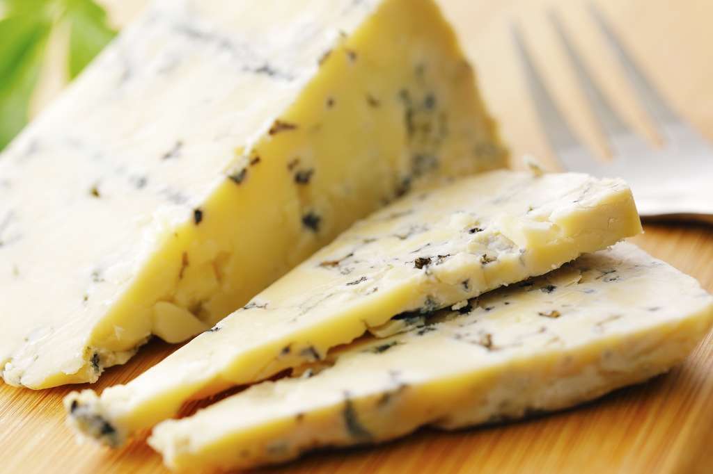 Les fromages à pâte persillée ne chauffent pas à la même vitesse. © Nishihama, Fotolia