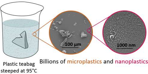 Selon les chercheurs de l’université McGill (Canada), il y aurait, dans une seule tasse de thé, entre 13 et 16 microgrammes de plastique?! Un gramme de sel en contient seulement 0,005 microgramme. © Université McGill