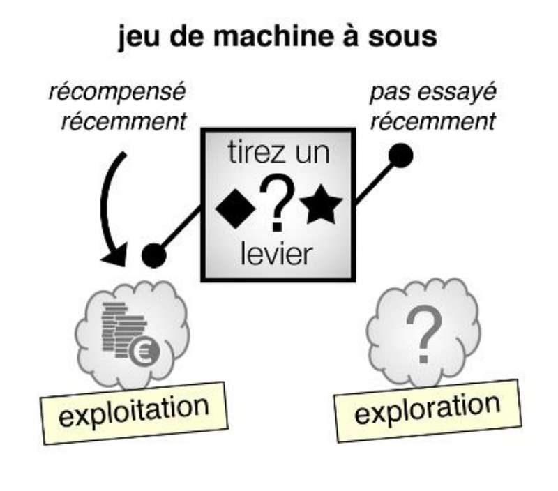 Les participants au jeu de machines à sous avaient deux choix, les symboles étant associés à des récompenses incertaines. Les chercheurs ont constaté que plus de la moitié des choix habituellement considérés comme relevant de la curiosité était en réalité due à des erreurs d