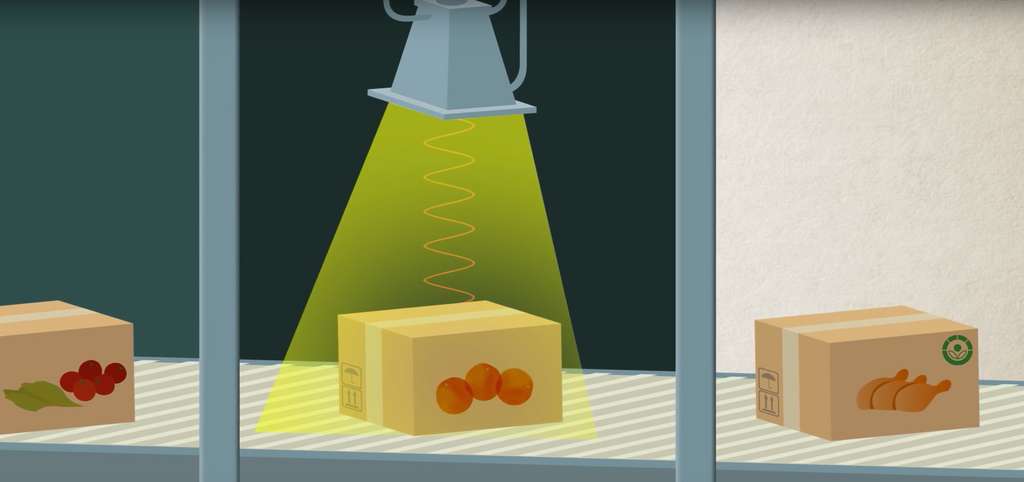 L’irradiation permet de détruire les pathogènes dans les aliments et de ralentir la maturation des légumes. © IAEAvideo, YouTube