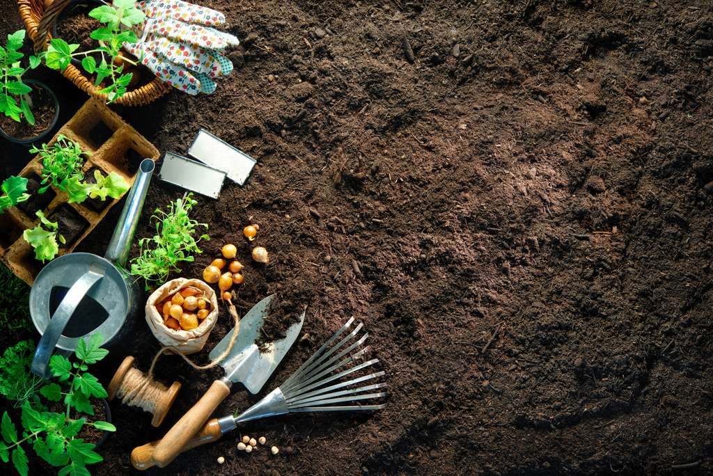 Mieux vaut connaître la nature du sol et améliorer la terre de son jardin avant de semer ou planter. © Alexander Raths, Adobe Stock