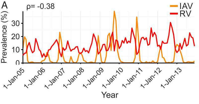 La prévalence des infections des virus Influenza A (en orange) et des infections des rhinovirus (en rouge) en fonction des années. Quand la prévalence des infections à Influenza augmente celle des infections à rhinovirus diminue. © Sema Nickbakhsh et al.