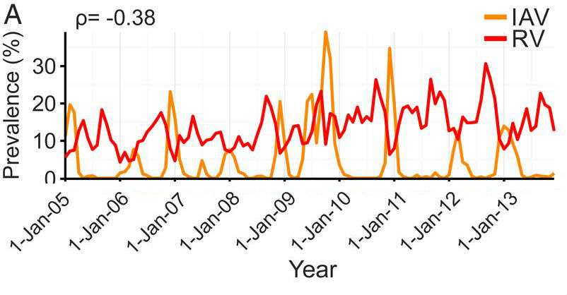 La prévalence des infections des virus Influenza A (en orange) et des infections des rhinovirus (en rouge) en fonction des années. Quand la prévalence des infections à Influenza augmente celle des infections à rhinovirus diminue. © Sema Nickbakhsh et al.