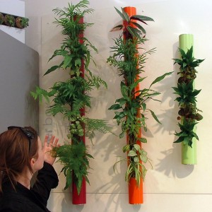 Plantes Consoglobe - Tube végétal 7 plantes dépolluantes Rouge 70cm