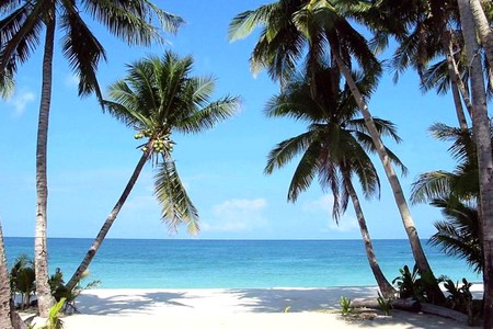 Palumbo Reef Beach Resort 3* Zanzibar, Voyage Tanzanie XL Voyages