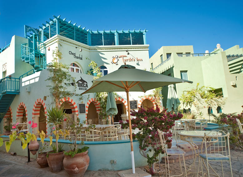 Hôtel Turtle's Inn 3* El Gouna, Séjour Egypte Go Voyages