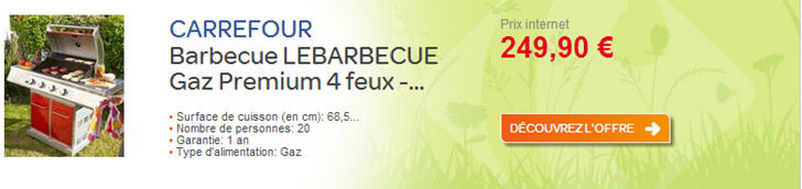 Barbecue Leisure Chef Prix  350 Euros sur Carrefour