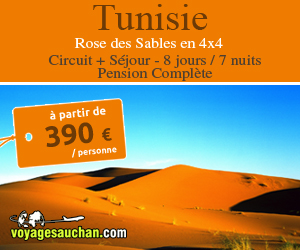 Circuits Voyages Auchan - Circuit Tunisie / Rose des Sables en 4x4 390,00 Euros