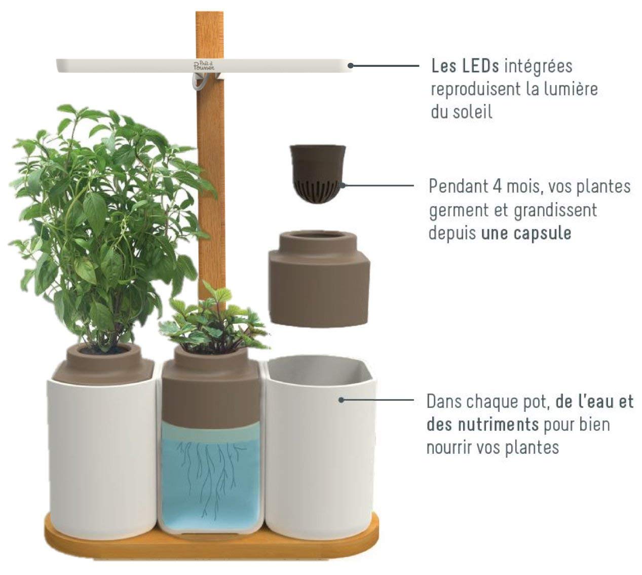 Smart Lilo Prêt à Pousser BIO le potager d’intérieur autonome