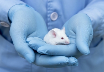 Pourquoi tester les médicaments sur des animaux mâles est problématique pour la santé des femmes
