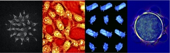 Vers un microscope optique universel « tout-en-un » ?