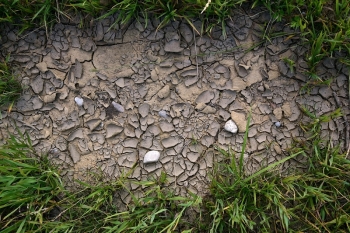 Sécheresse 2022 : un manque de pluies presque « ordinaire » aux effets exceptionnels