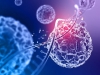L’ADN circulant : une nouvelle arme simple et rapide dans le diagnostic et le suivi des cancers