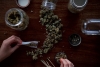 Légalisation du cannabis récréatif : les défis français