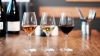 Quelle est l’origine de l’éducation à la dégustation de vin ? 